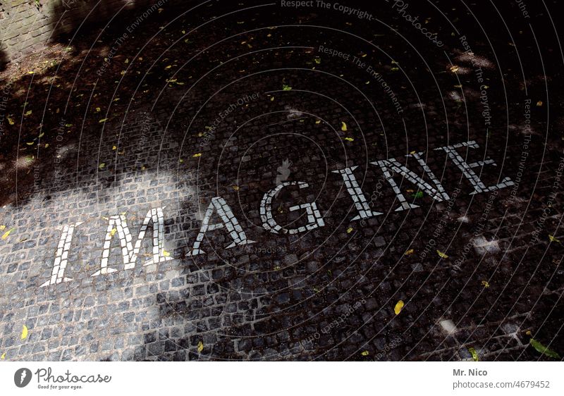 Imagine imagine Word Letters (alphabet) Characters Gray Paving stone Cobblestones Floor covering Ground Structures and shapes Lanes & trails Places foliage
