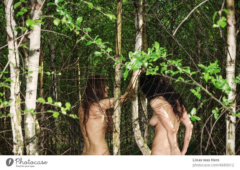 In these wild woods, some wild and naked girls are having fun. It’s springtime. Young birches with their green leaves surround these sexy women. A gorgeous nature with even prettier wild, young, and nude beauties.