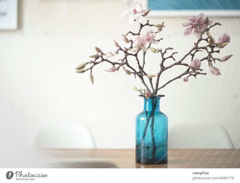 Magonlien branches in a blue glass vase on a wooden table with white chairs, in the background pictures on a wall of an old building apartment in the middle of Germany