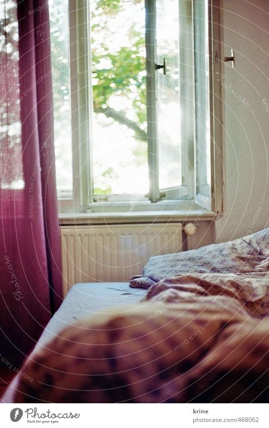In the morning Flat (apartment) Bed Room Bedroom Window Relaxation Sleep Dream Esthetic Happy Bright Positive Retro Beautiful Warmth Feminine Soft Violet