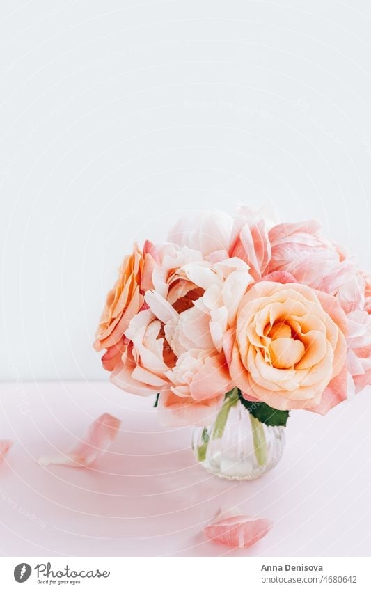 Fresh bunch of pink peonies and roses peony pastel stock flower bouquet floral petals wallpaper card postcard spring love summer holidays mothers day romantic