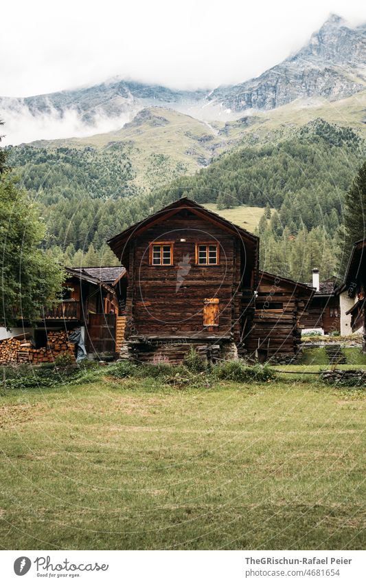 Chalet in front of mountains Mountain Switzerland Green Meadow Forest Alps valais Wooden hut Wooden house
