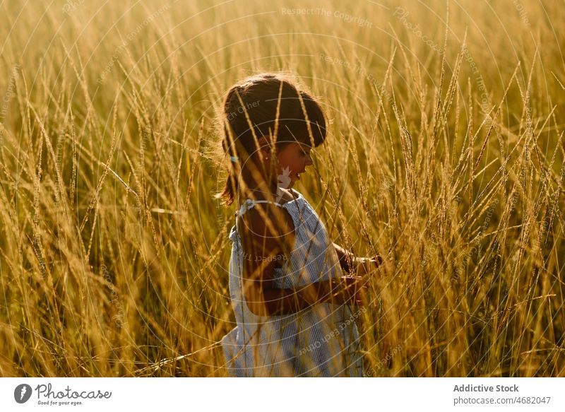Glad kid enjoying summer in grassy field girl child meadow countryside playful silhouette cute hispanic adorable nature childhood sunshine friendly smile glad