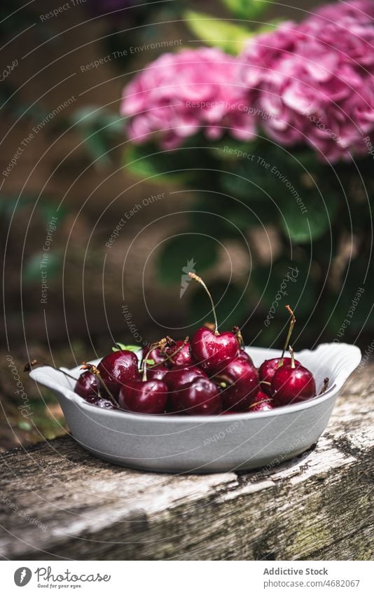 Bowl of cherries on log cherry countryside flower vitamin natural organic rural nutrition wooden healthy food flavor tasty delicious beam delectable product