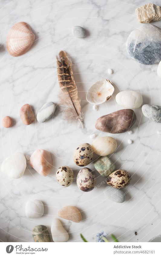 Pebbles and feathers on table pebble decorative small stone marble decoration natural scatter design floral delicate flowerpot potted rock cultivate growth