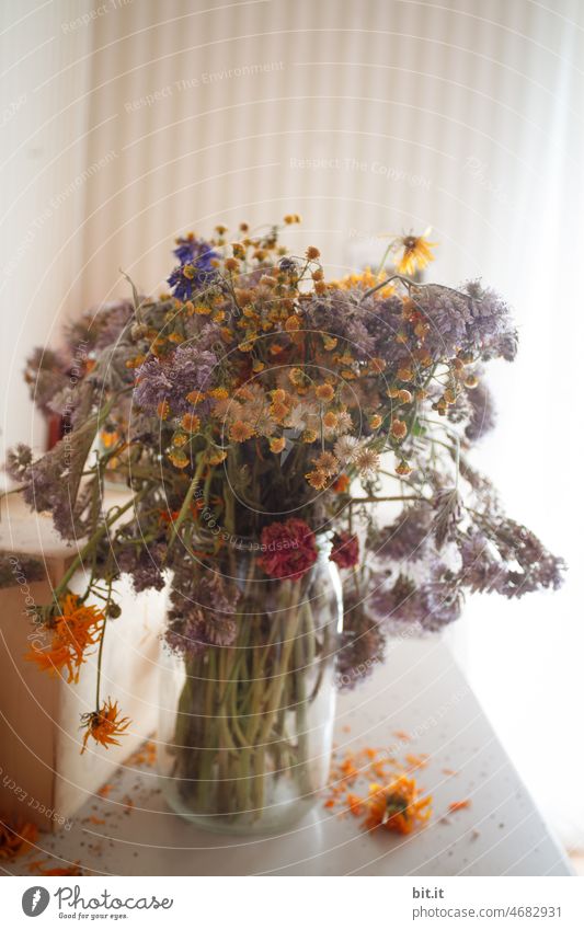 Dried flowers in glass vase on table, at home in summer. Bouquet Vase Decoration Blossom Spring Nature Blossoming Plant Flower pretty Summer Close-up Dry