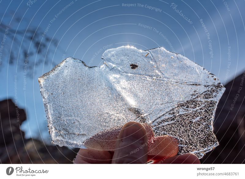Small ice floe held against the sun Ice floe Sun Back-light Winter Cold Frozen Frost Exterior shot Colour photo Deserted transmitted light photograph