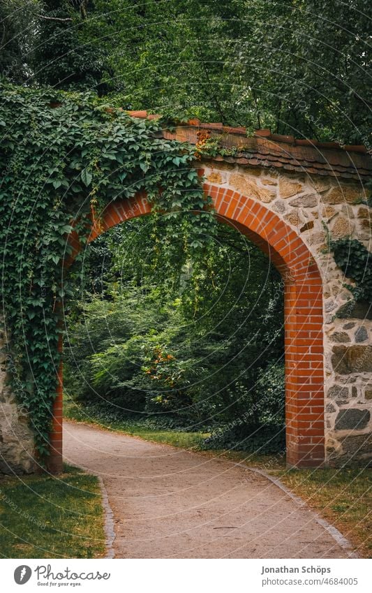 Path through stone gate overgrown with ivy off Stone gate Goal Overgrown Entrance Nature Ivy Lanes & trails Green brick Exterior shot Colour photo Deserted