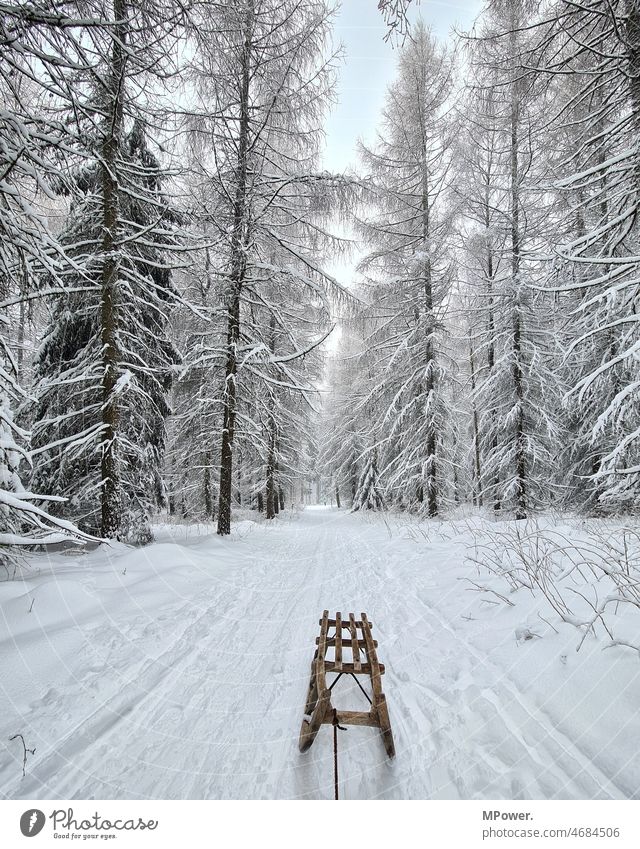sledding in the winter forest Sleigh Snow Forest snowy Hiking Trip on one's own Landscape Cold Nature Winter Outdoors Tree Weather White Frost Ice Frozen