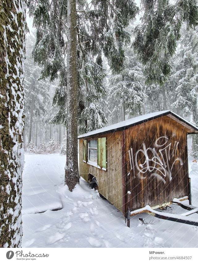 hut in winter forest Hut Forest Winter Winter mood Snow Wooden hut Exterior shot Nature White Frost Landscape Weather Snowscape Colour photo Winter forest Tree
