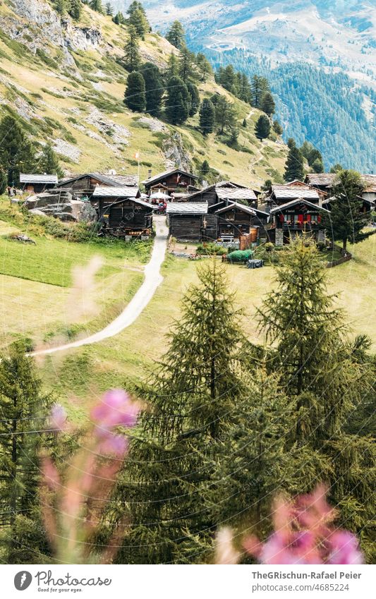 small village in the Alps Zermatt valais houses Village trees Forest stones