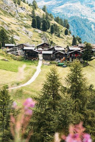 small village in the Alps Zermatt valais houses Village trees Forest stones