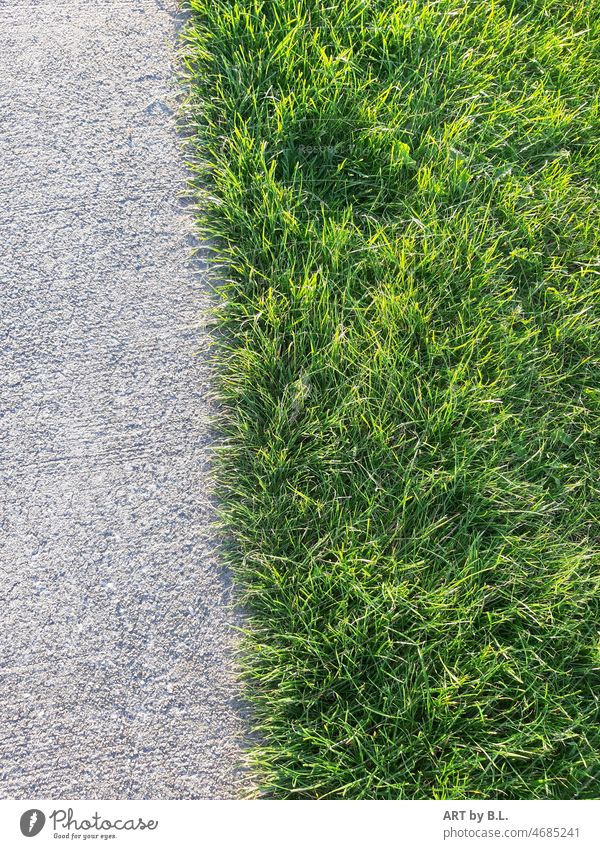 unfairly divided.... Lawn Grass Asphalt Street Nature Divided Green Gray structure Concrete
