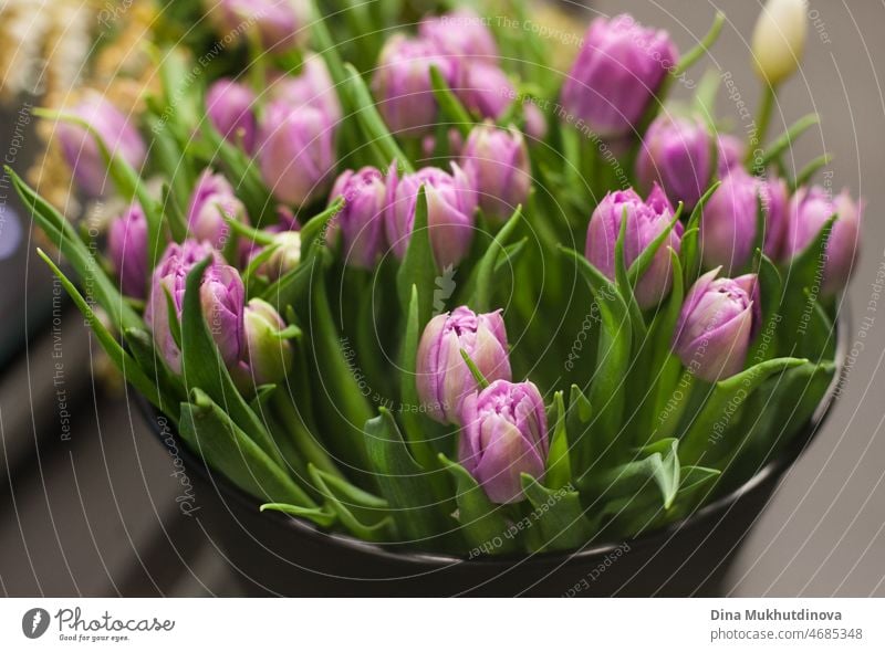 Bouquet of purple tulips in a bucket at flower shop. Floristics and selling flowers small business. Violet purple lavender color tulips spring floral background.