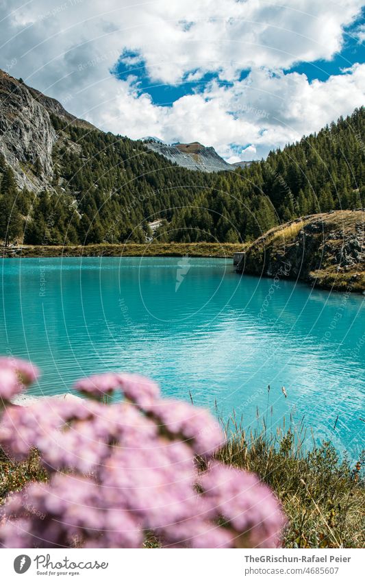 Turquoise lake in front of mountain Zermatt Lake hike Exterior shot flowers Forest Water Clouds 5 Lake hike