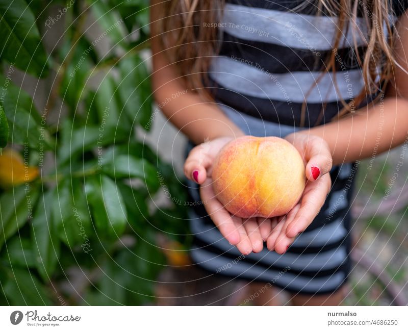 fruit Fruit hands Harvest Peach eco Ecological neat naturally Child Indicate Yellow Orange Fingers Human being Joy Summer Warmth vitamins Fruit flesh Core
