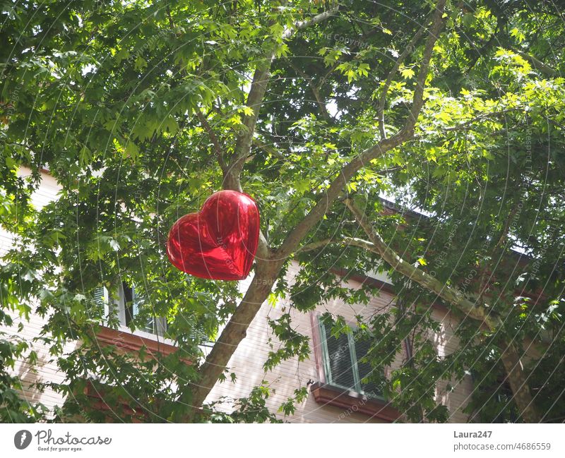 red heart shaped balloon in the green tree top Heart Balloon Love Red In love romantic Valentine's Day Treetop Green symbol