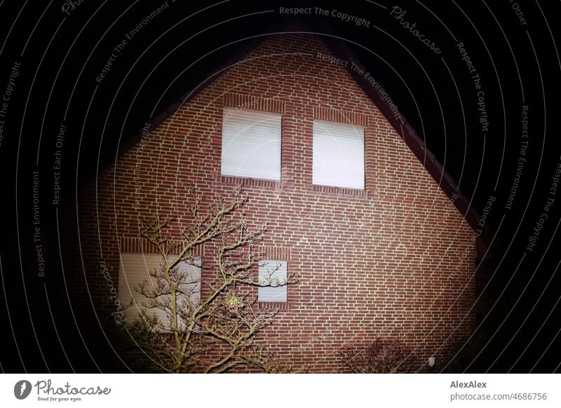 Brick family house with closed blinds partially illuminated at night with a spotlight House (Residential Structure) Detached house Tree Cold Dark bricks