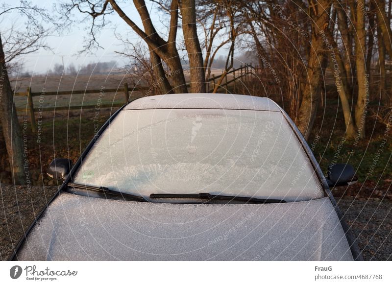 frozen car- now it has become cold after all Landscape trees Fence Car FRontwheel Car Hood from the front Ice Frost Winter Cold iced Frozen Freeze Winter mood