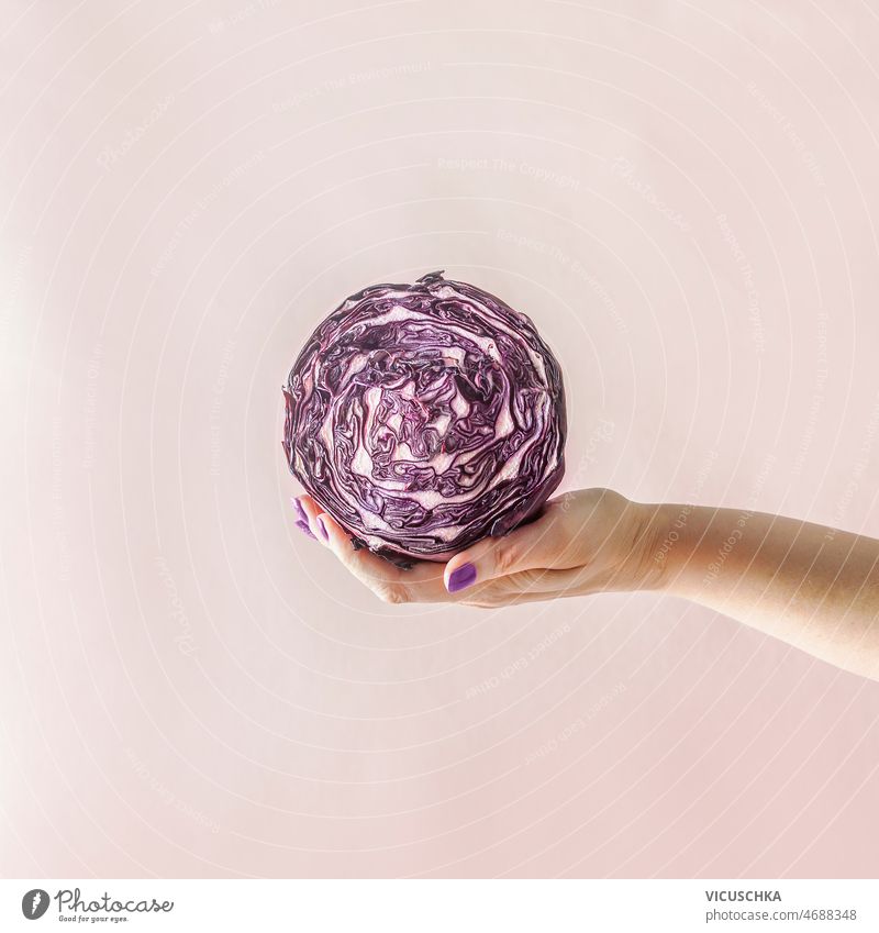 Woman hand with purple nails holding halved red cabbage woman pale beige wall background organic vegetables without packaging plastic free groceries front view