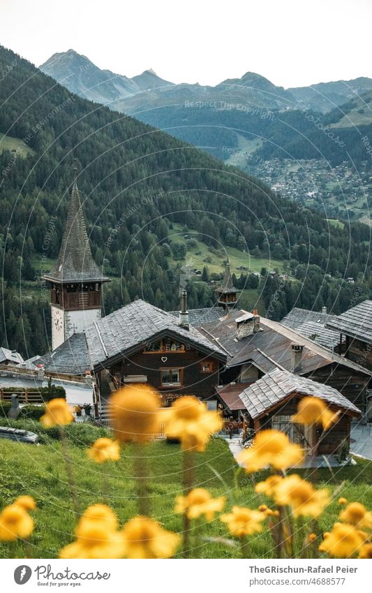 Church and flowers in front of mountains House (Residential Structure) houses Village valais stone roof Yellow Mountain Forest val d'anniviers