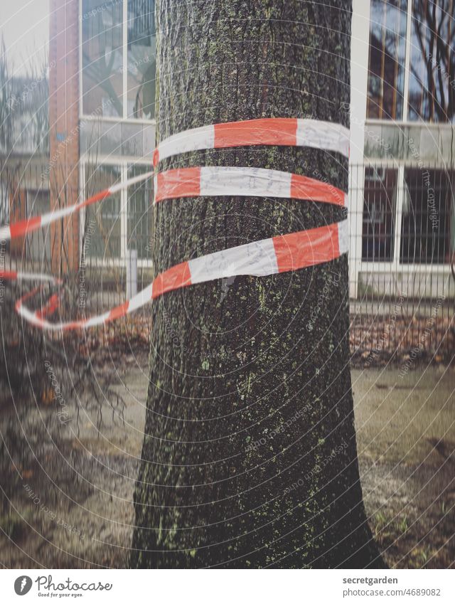 fluttering imprisonment Tree Tree trunk cordon flutterband Building cordoned off Construction site Gale Storm makeshift Protection Safety barrier tape Barrier