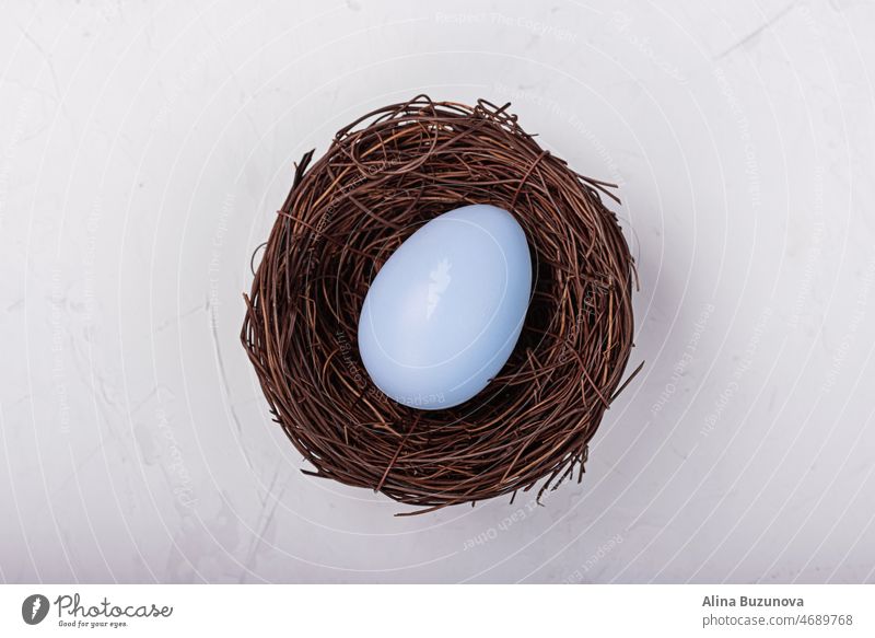 Stylish background with colorful easter egg in nest isolated on gray concrete background. Flat lay, top view, mockup, overhead, template. copy space flat lay