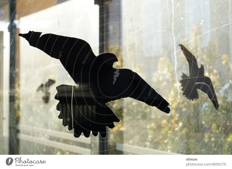 black, scratched bird protection stickers on the dirty glass windows of a bus shelter / bird protection / accident protection Bird picture stylized bird of prey