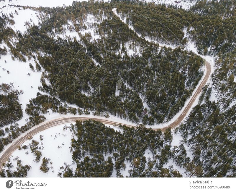 Winding Road In Winter Landscape. Aerial view from drone of road among trees in snowy forest adventure wild high flight beauty path countryside rural scenery