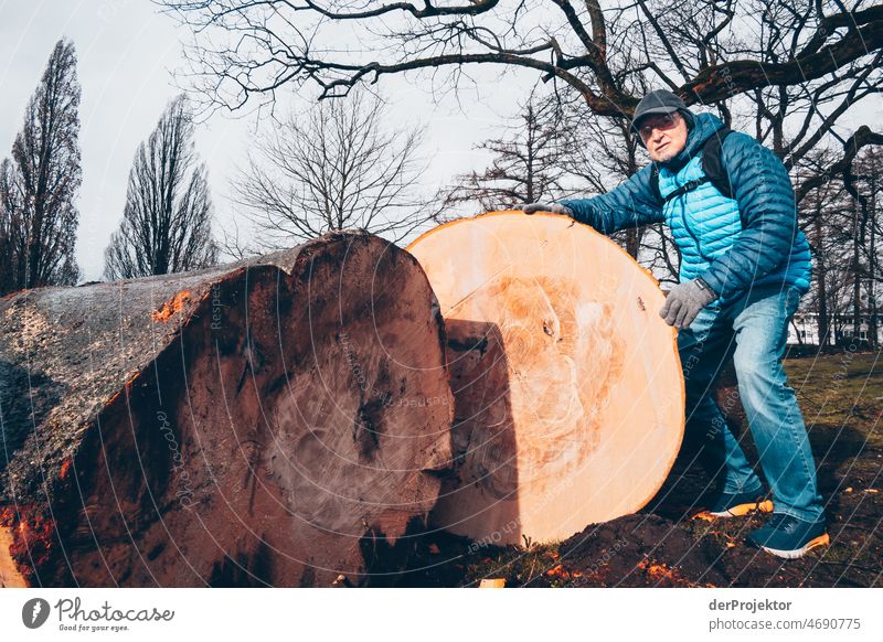 Elderly gentleman standing next to filled tree Landscape Exterior shot Copy Space bottom Copy Space left Copy Space top Structures and shapes Copy Space right
