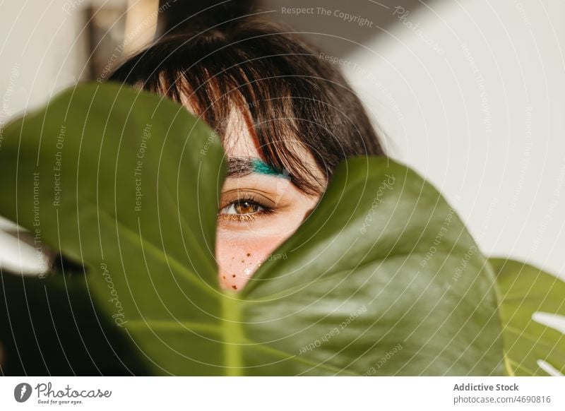 Woman covering face with green leaf woman plant hide cover face makeup appearance sunlight floral room houseplant peek feminine positive home female foliage