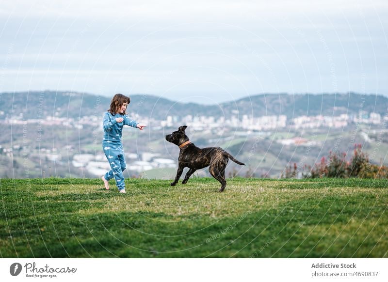 Girl playing with dog on lawn girl kid american pit bull terrier animal pet playful mammal pastime pedigree breed cute adorable happy purebred canine domestic