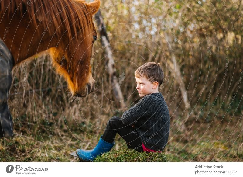 Cute boy sitting near horse kid countryside animal equine mammal grass domesticated breed zoology cute mane obedient rustic creature fauna specie livestock