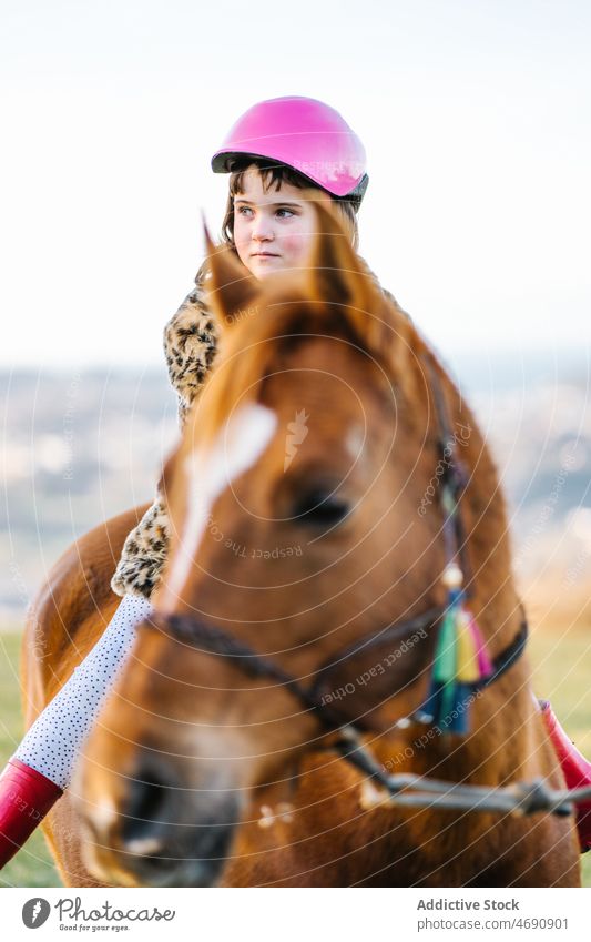 Delighted girl riding horse in countryside kid ride childhood animal horseback practice leisure happy pastime equine delight mammal domesticated breed zoology