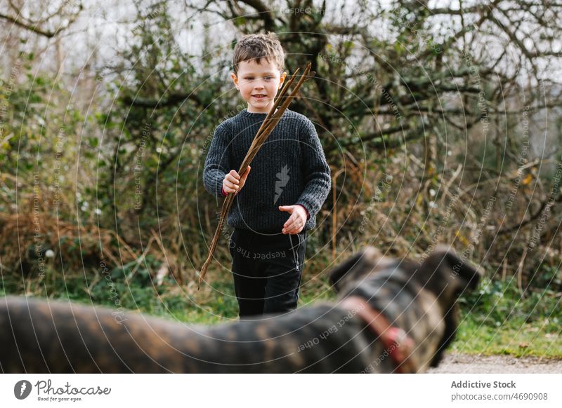 Boy playing with dog in countryside boy kid american pit bull terrier animal playful stick pet childhood lawn rural canine adorable creature breed mammal