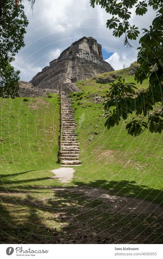 Steep stairs to the Maya ruin 'El Castillo' at the archeological site Xunantunich near San Ignacio, Belize xunantunich belize maya temple carving archeology
