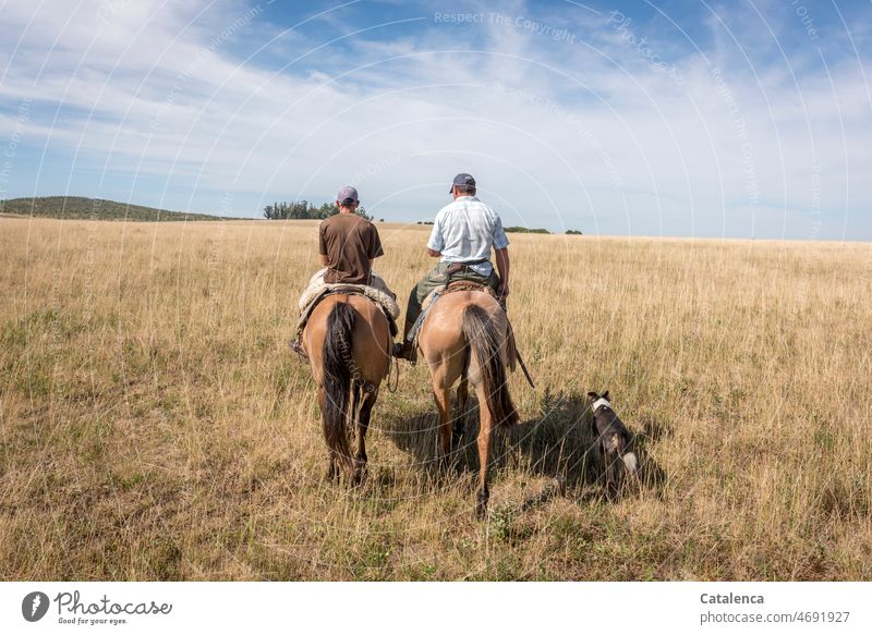 Two riders and dog on the way back Nature Exterior shot Environment Landscape Day naturally Animal Farm animal Horse Rider prairie grasslands Grass persons