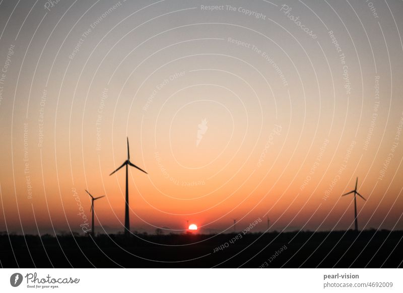 Wind turbines at sunrise Sunrise Sunlight Back-light Clean Technology Electricity Rotor Alternative Industrial Photography clear Pinwheel Energy wind power