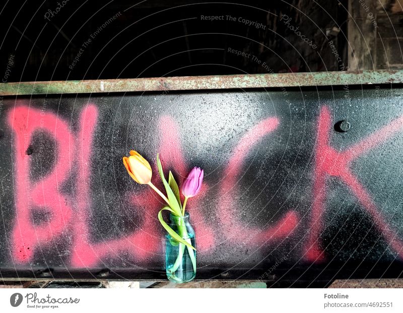 Black is probably the new colorful. The word "Black" is written in pink letters on a black background. Colorful tulips in a small glass vase decorate this Lost Place.