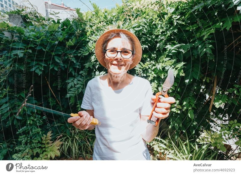 Portrait of an old woman holding gardening tools while smiling to camera. Leisure time activities at home. Saving the planet plating plants. Planet concerns. Mature people works at home