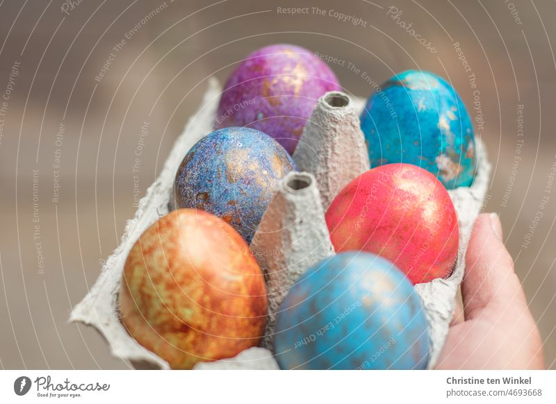 Colorful dyed Easter eggs in egg carton colored eggs give away egg colouring colorful eggs Tradition Feasts & Celebrations Decoration Food Brunch Chicken eggs