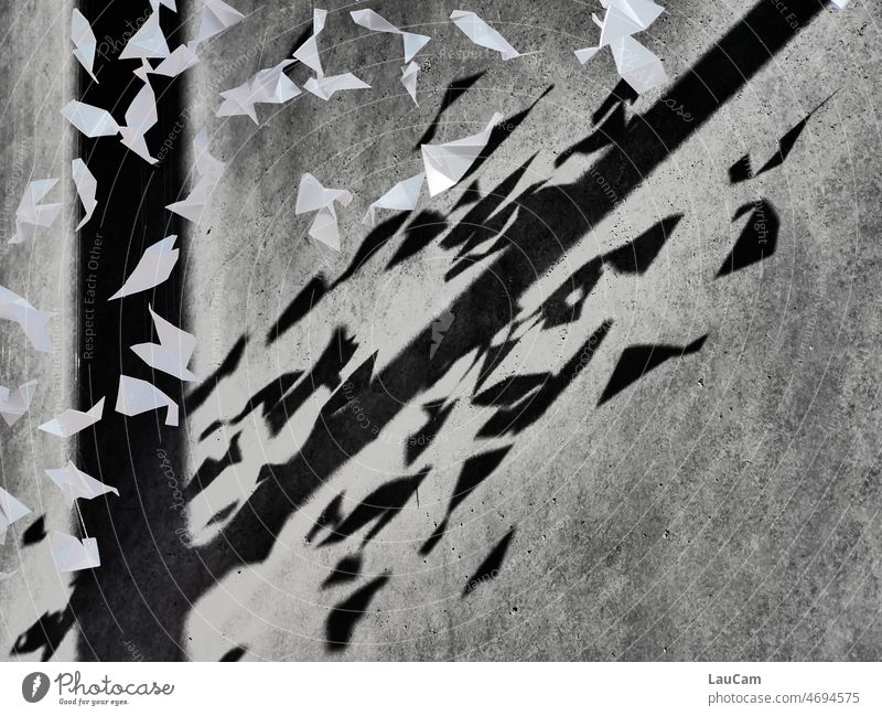 Contrast: white paper peace doves cast dark shadows on the wall Peace Doves White Paper Shadow Rich in contrast Structures and shapes Dark Wall (building) Light