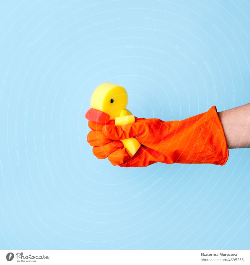 Hand in rubber orange gloves hold a washing sponge yellow duck. Blue background. Housekeeping and cleaning service concept. Spring time seasonal cleaning creative, flyer