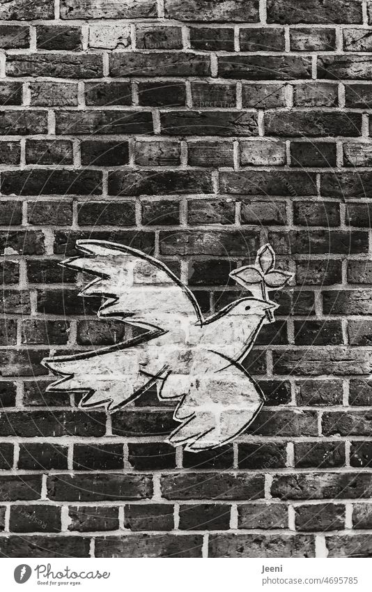 Peace dove for world peace 🕊 Love Freedom Hope Pigeon Dove of peace Flying Symbols and metaphors Grand piano Image Wall (building) White Peaceful Compromise War