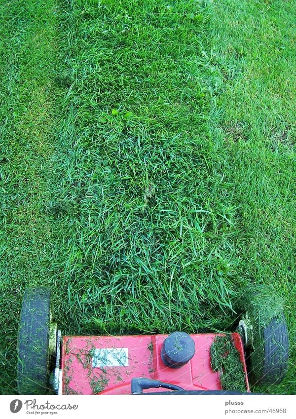 lawn mowing Work and employment Machinery Grass Meadow Line Stripe Green Lawnmower Cut Blade of grass Tracks Mow the lawn Wheel Skid marks Gardening