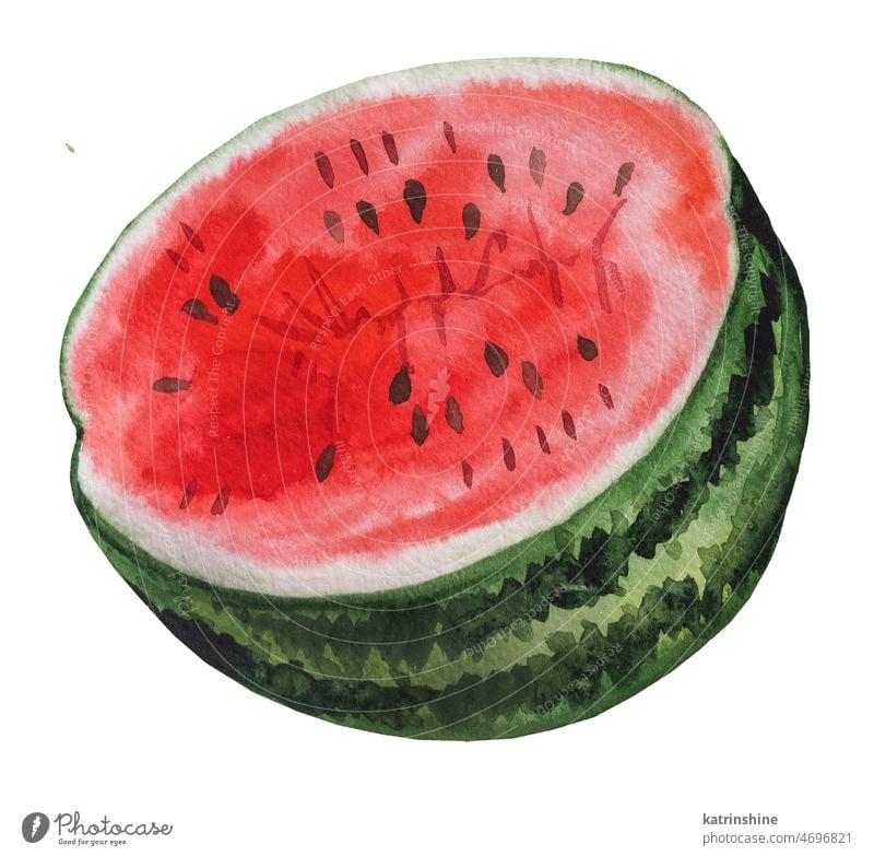 Half of red juicy watermelon. Watercolor tropical fruit illustration Botanical Cut Decoration Element Exotic Fruitarian Hand drawn Healthy Ingredient Isolated