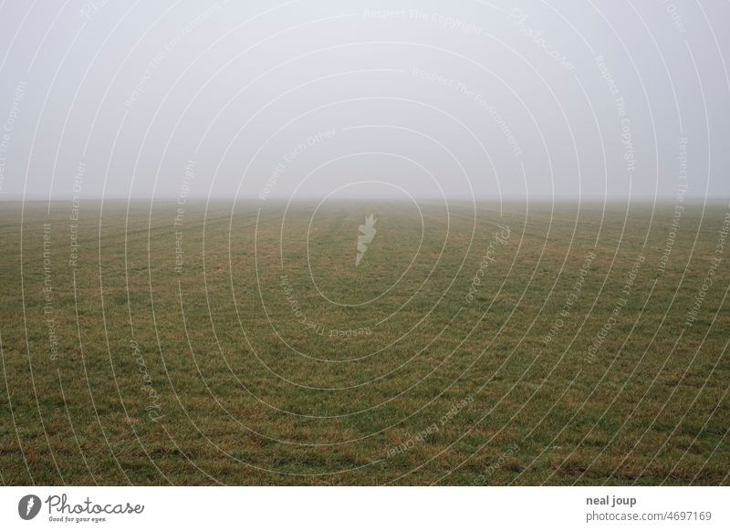 Diffuse horizon line of endless meadow or arable land in fog Landscape Horizon wide Gloomy Fog foggy Gray Winter Meadow acre Grass Green Agriculture Seasons
