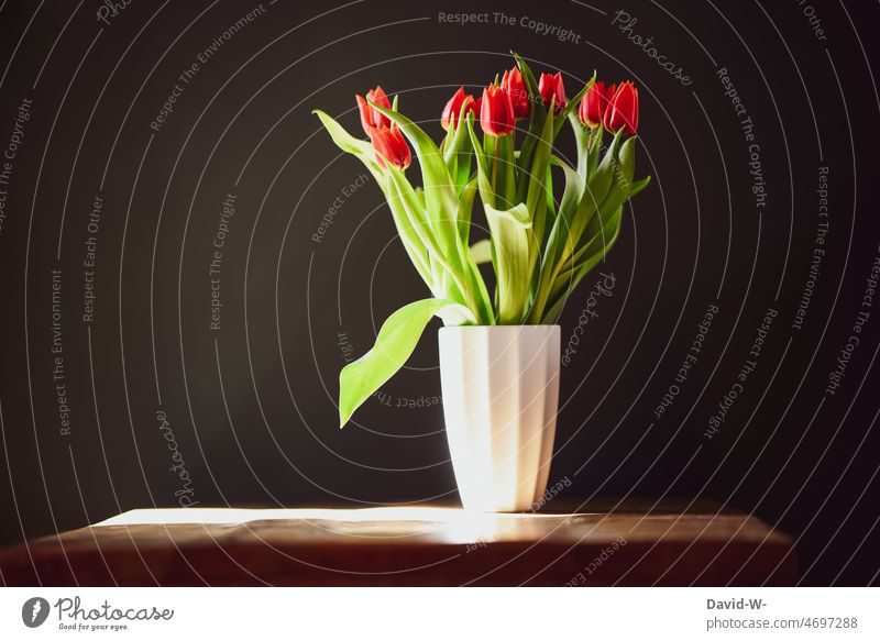 A vase with red tulips on a table illuminated by the sun Vase flowers Sunbeam Table Gift Spring pretty Decoration Bouquet Placeholder