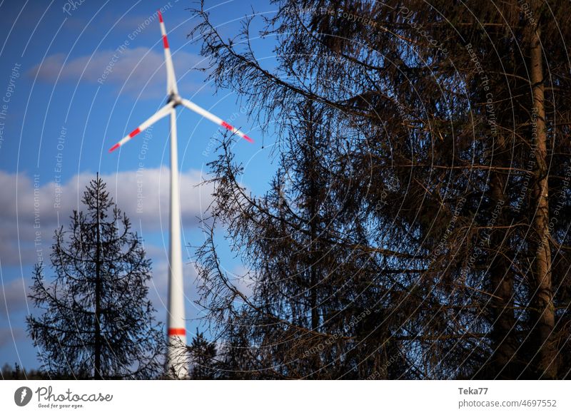Wind turbine forest Pinwheel wind farm green energy Energy stream eco-power Forest trees