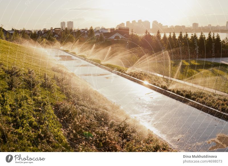 Automatic water sprinkler system in the city at sunset in summer. Urban cityscape with green grass  and trees at sunrise or sunset. Heatwave in summer and coping with heat in city. Cooling down in the park or street.
